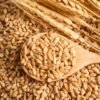 Wheat Flour(MP Sharabathi)