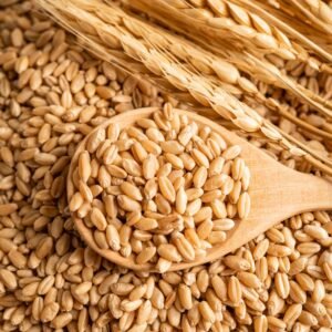 Wheat Flour(MP Sharabathi)