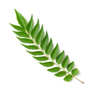 Curry leaves/Kadi patta powder